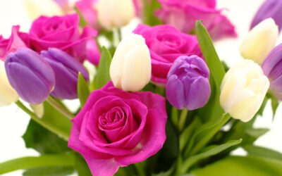 Best Flowers for Birthdays by Month