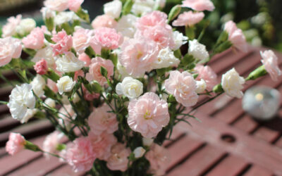 Seasonal Flower Guide: What’s in Bloom Each Season in the UK