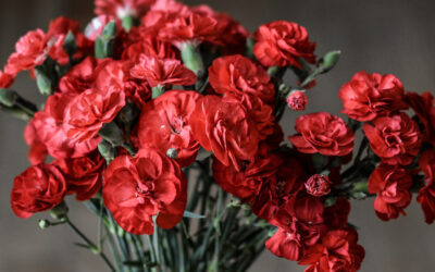 Real vs. Artificial Flowers: Pros and Cons for Every Use