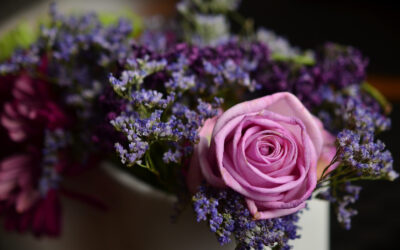 Christmas Flower Decorating Ideas for Your Home