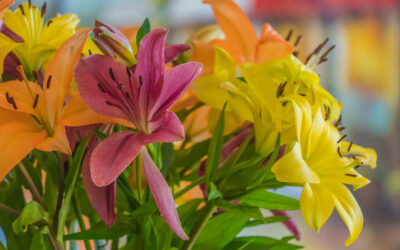 Why Flowers Are Still the Most Meaningful Gift
