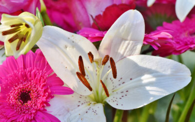 Are Online Flower Deliveries Worth It?