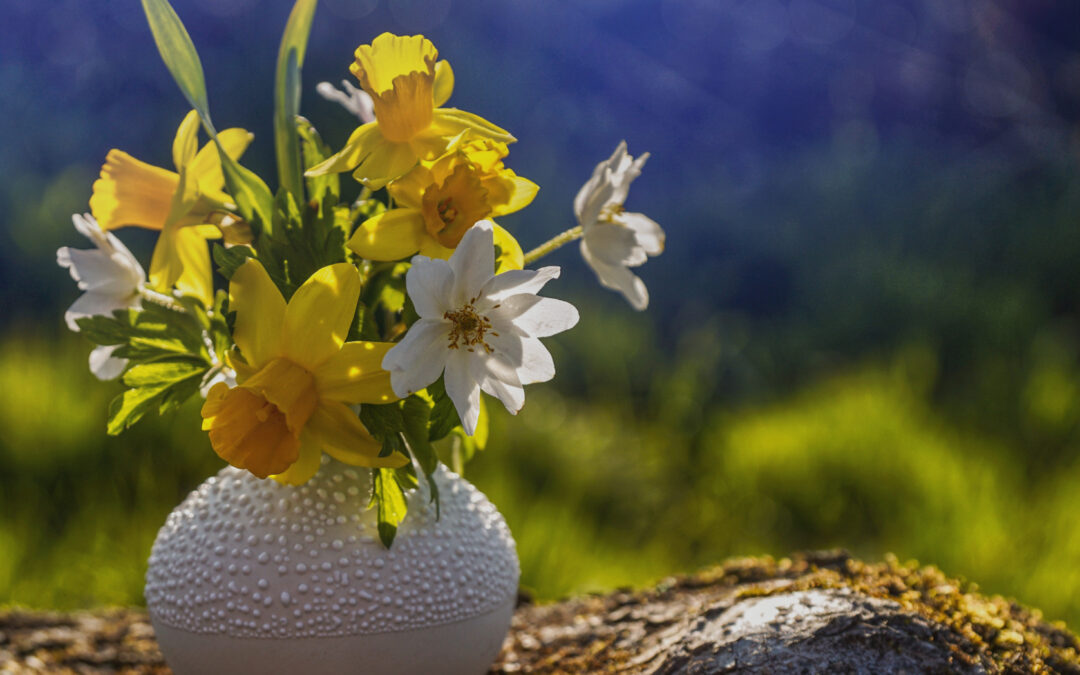 The Meaning Behind Popular Flowers: What to Gift and When