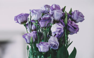 Top Tips for Seasonal Flower Delivery