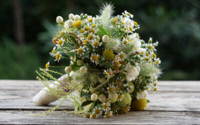 How We Source Our Flowers Sustainably