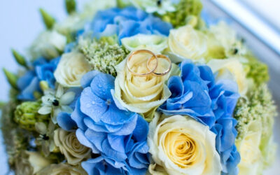 Preserved vs Fresh Flower Delivery